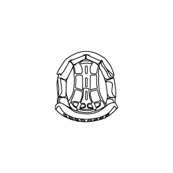 KTM KTM Dynamic-Fx Helmet Interior